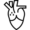 Kardiologie